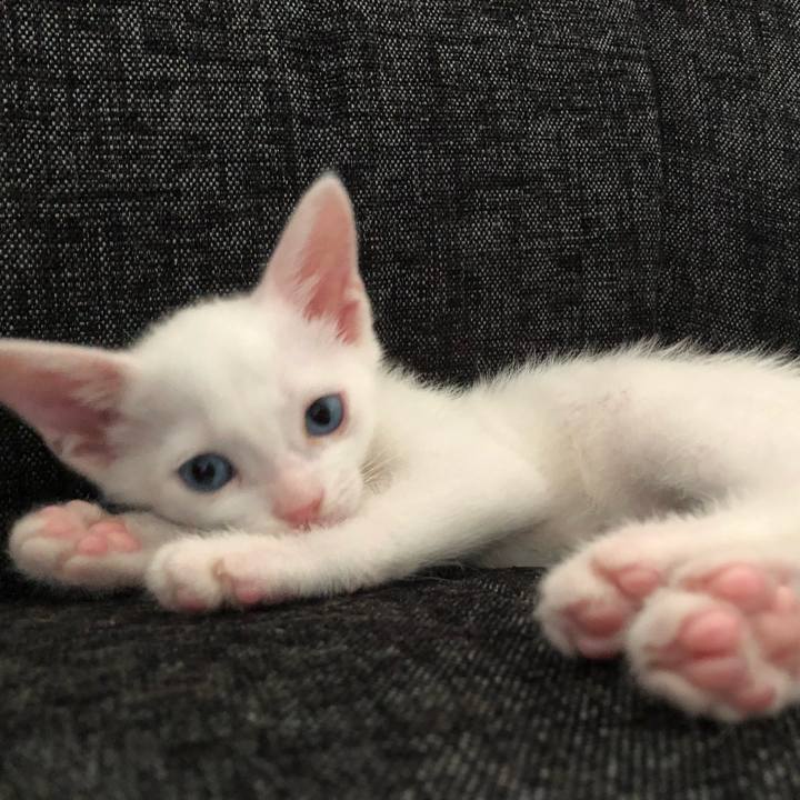 9d0709dc 7088 4892 af2e 017d24d135de 1531637846834