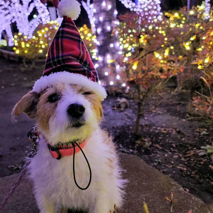 9d0710f4 49a3 495c 8dad 9d4d5193591b 1670813269315