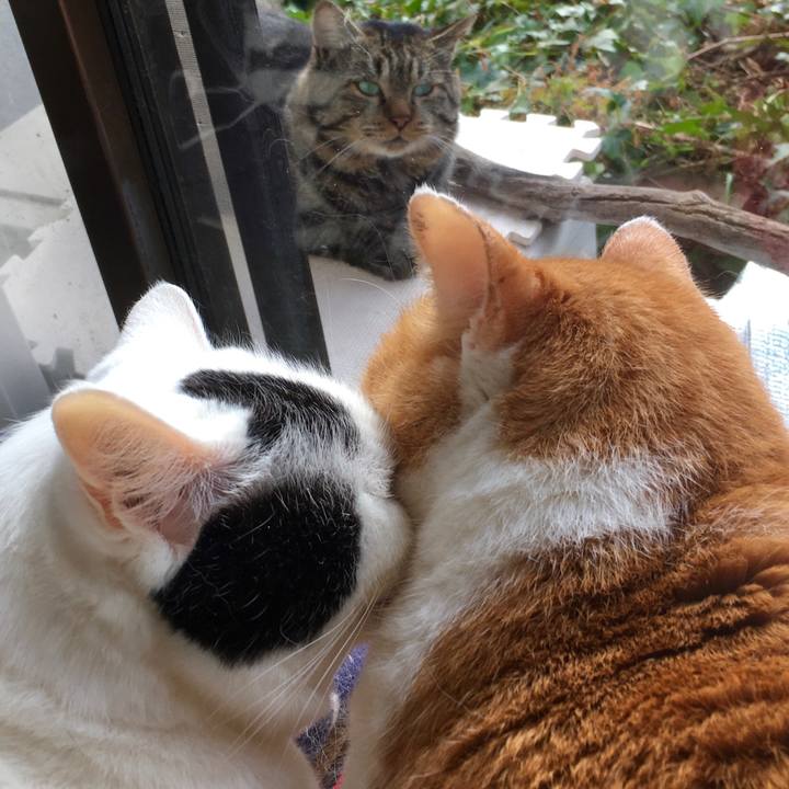 9d071872 4f95 4c56 b5fd 7fe8d68fe868 1611873936590