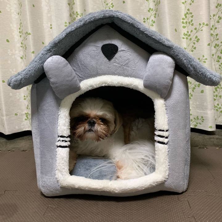 9d07b2f5 3256 421d 8eac 500401790fa8 1621634390365