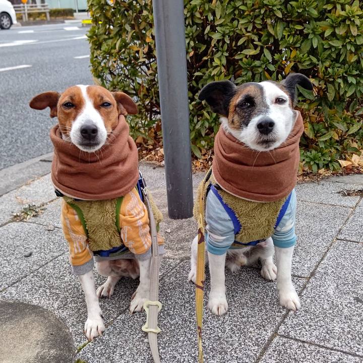 9d07f295 b9c2 4151 b8ff b62963f77b2f 1641421318048