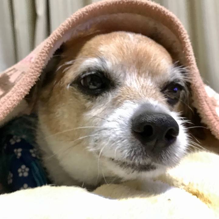 9d07f384 418f 4db3 9337 886126556e64 1609767054964