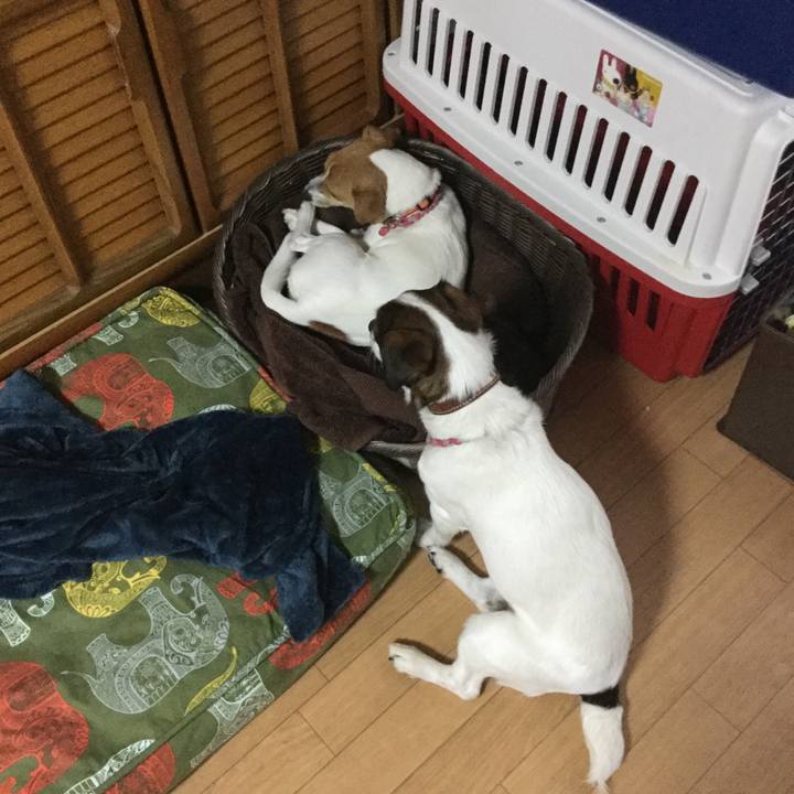 9d07f602 25ab 4710 8cf7 34517c2cdab4 1525644647505