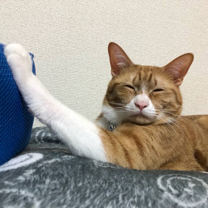 9d07f660 62ed 4509 a99d a20c44b65fa2 1587221260821