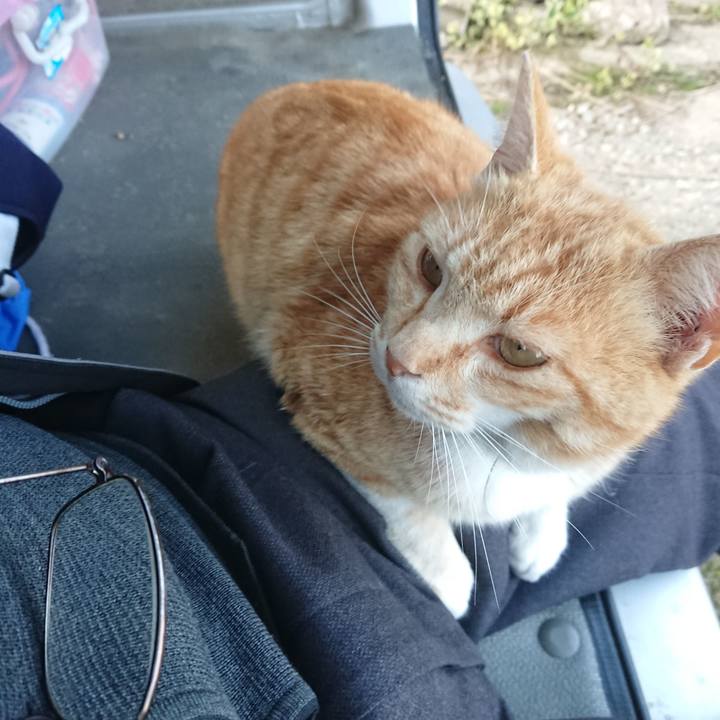 9d080e2b d4e9 424a a50e 9896fe8559b5 1588064590286