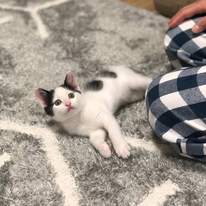 9d08383b 56d7 4b3e a038 864a9ad5d64e 1653560655304