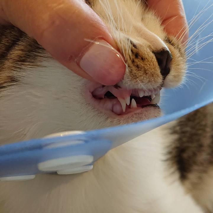 9d0868ab f95f 4965 9383 2487e497f5cd 1550280634953