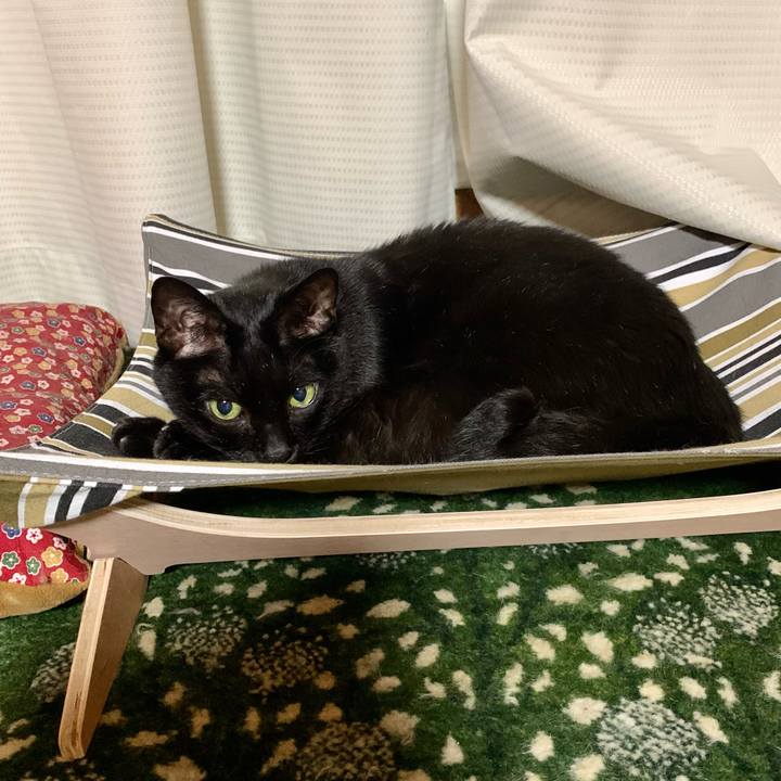 9d08bbc4 646f 4c87 9b01 9525bfa103a2 1682325616035