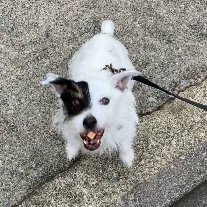 9d08dcb7 e42f 4e62 8030 e30b62fdcf0c 1658103890152