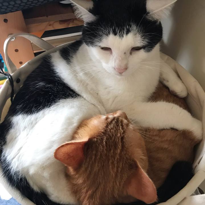 9d08f2fe 7cfe 4489 8870 095775579529 1585369519637