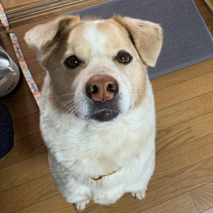 9d092f25 7cc6 418b 94bc 89ef1d595ed9 1582243220386