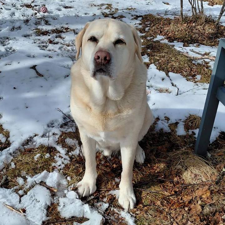 9d097d18 6de5 414b a56e a5ed87512655 1770732511298