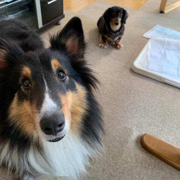 9d09875c be64 4046 ad98 983c7d31186e 1564959113472