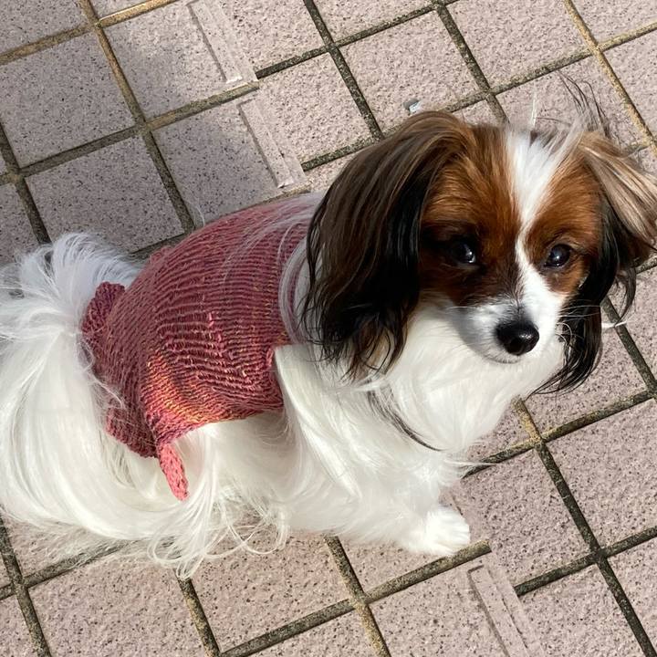 9d098ac6 be62 4d9d b6df 9fce5c8adaef 1637813929018