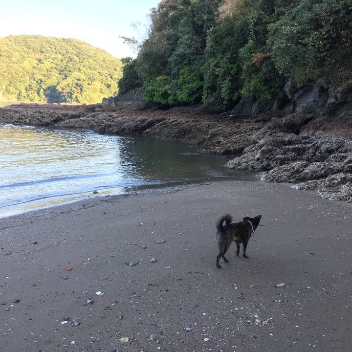 9d098c65 03de 4947 9bbe 80b2459a51a0 1534287772646