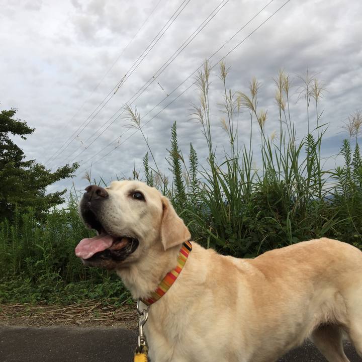 9d0996d0 efc7 44fb 8e3f fbbc11fae082 1536741653673