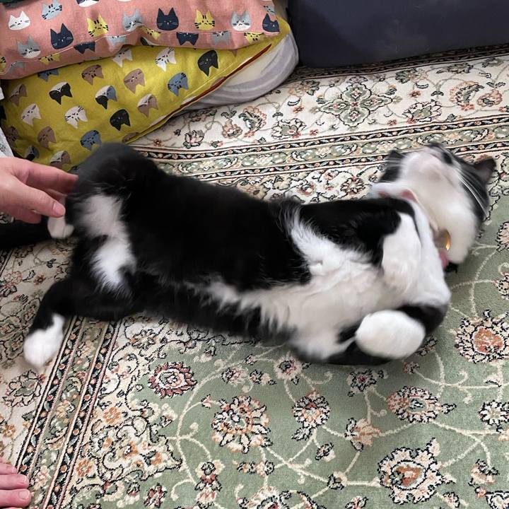 9d09ce5d c1e0 4b2c 927b f9e5eef01d17 1747881891101