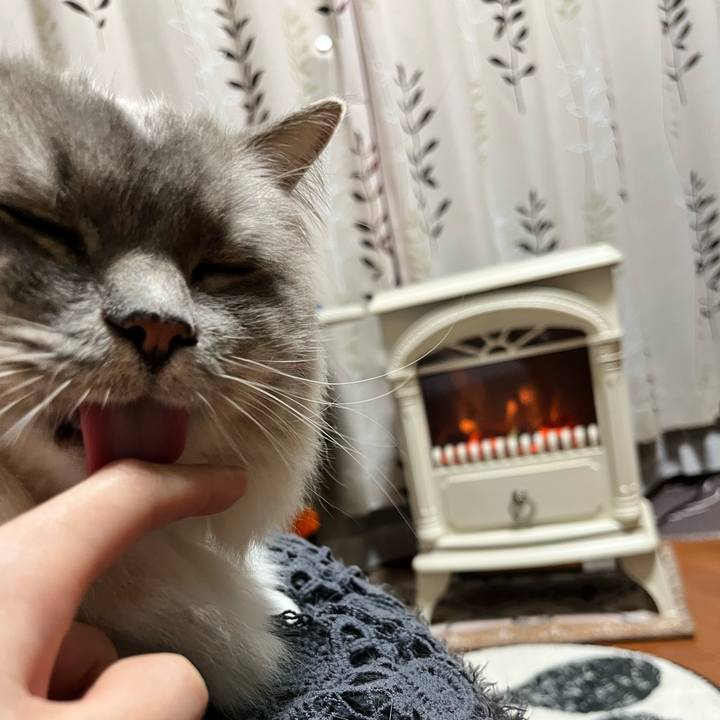 9d09dd36 f92f 402f 9c87 7a0bff426f4f 1674642700477