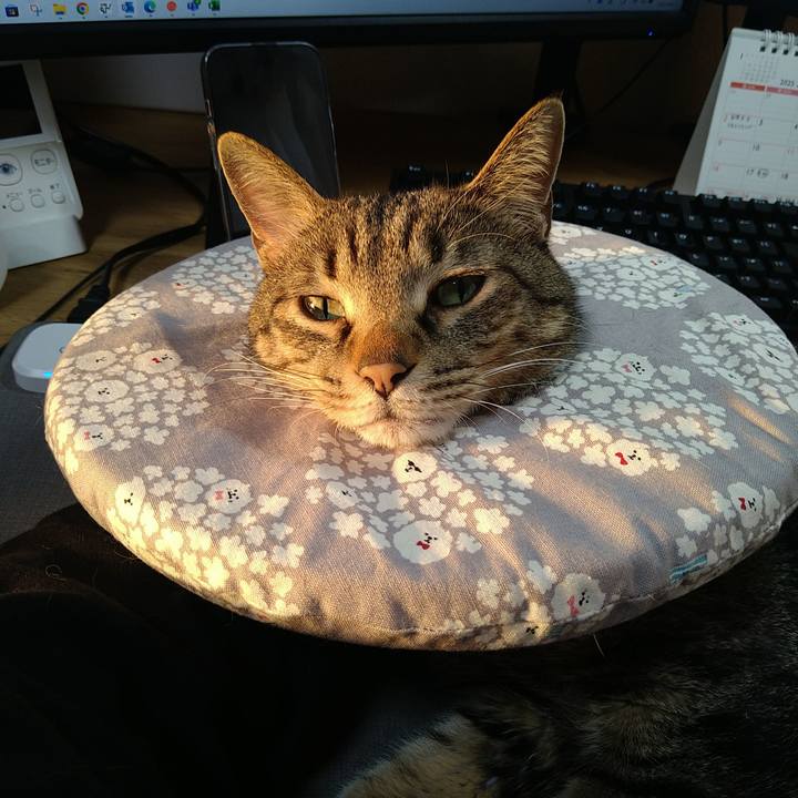 9d0a0a10 500b 4941 87ea ee3644ef2745 1740643077270