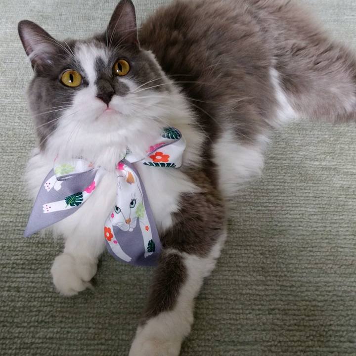 9d0a1cac a29e 40f0 8bc4 2ebfed2b41b7 1601181659267