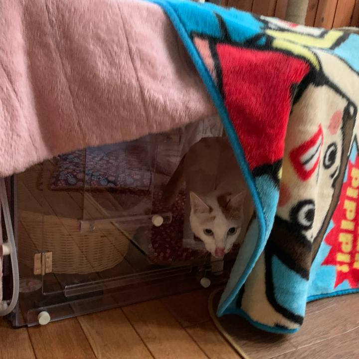 9d0a5361 e6cd 43cd 99e8 2a2a286c2340 1578899343243