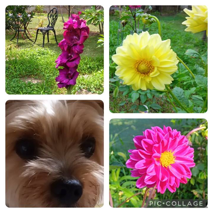 9d0a5a29 afeb 4333 b6d7 5460e0c984ce 1722385152568