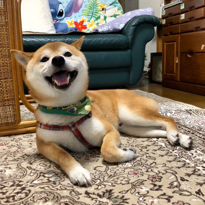 9d0a6ff8 eba3 4cf7 83ef d14176aeaa99 1531742288463