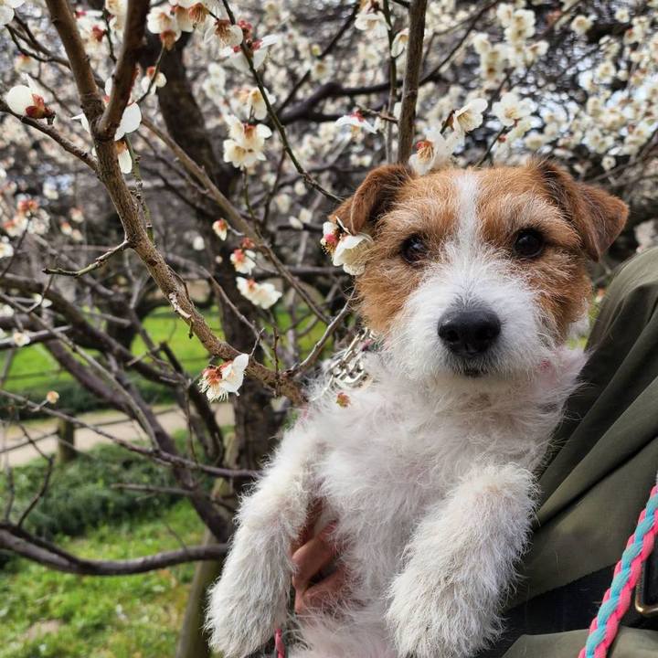 9d0a7d88 2561 43f5 a548 c4d53fbf47b4 1678056590700