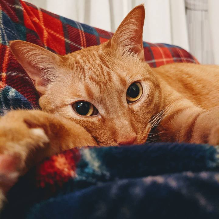 9d0a9cd3 f789 4f4e a4c2 0eaa9ecde37d 1620310238459