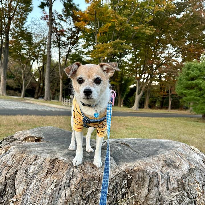 9d0aacb6 08ac 45f5 8abe adec95e243d0 1667469623121