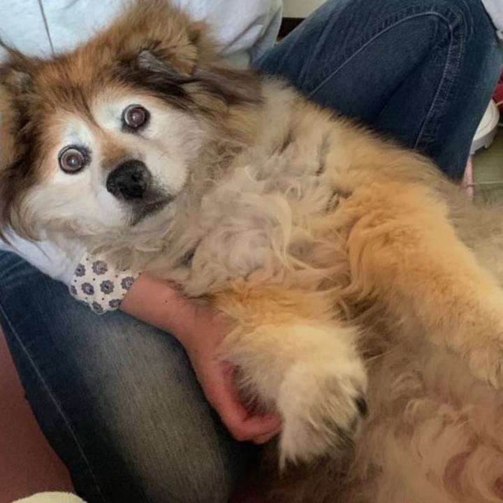 9d0ab4d8 8dbe 4644 bd80 622dcf602232 1588944278622