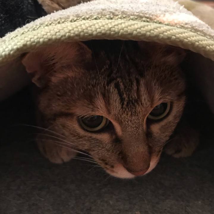 9d0ab782 6d8e 4184 97c0 92db94a7184d 1588118426955