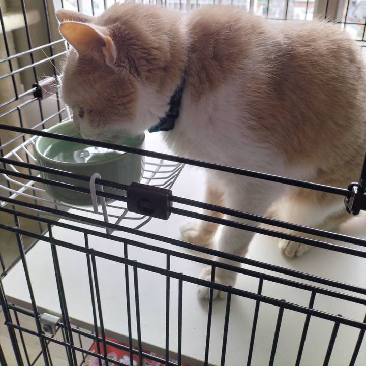 9d0ac30e ee87 4024 9505 356d5be6632f 1683929865193