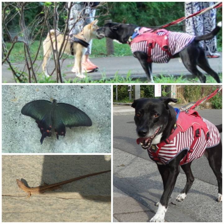 9d0ac4fe bdb5 4465 90ee 96849219464e 1689552138221