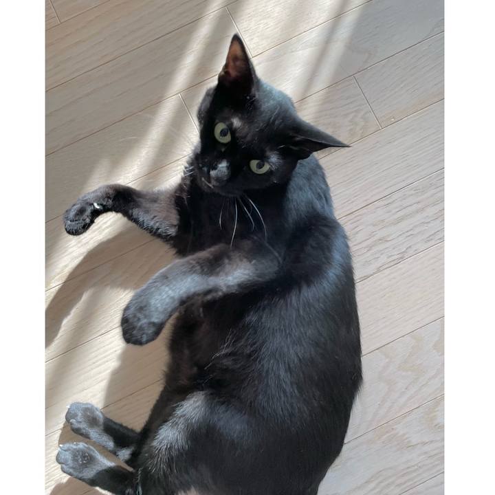 9d0af0c8 e1ea 449d b123 7c2a8afb9c91 1660053575844