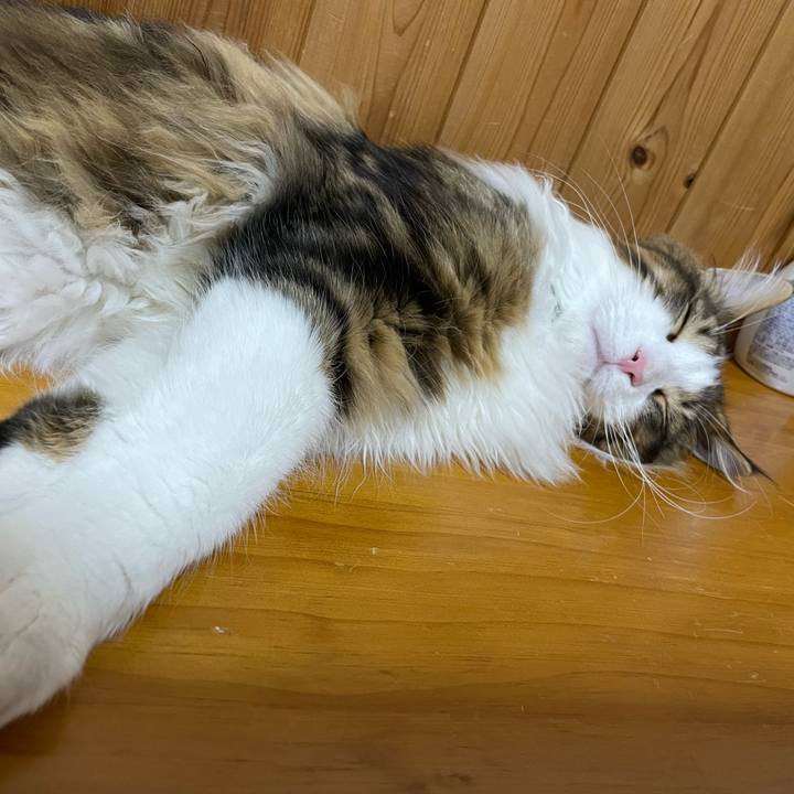 9d0af42a ee4a 41ed aac6 3ccdbeca5f3f 1642158123385