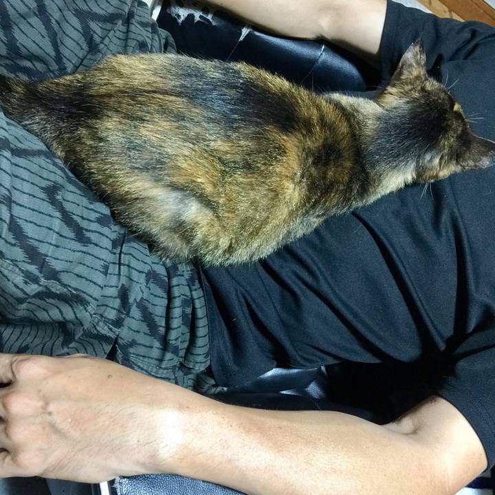 9d0b3208 78ca 4da1 9127 bc5cba46761f 1535532525129