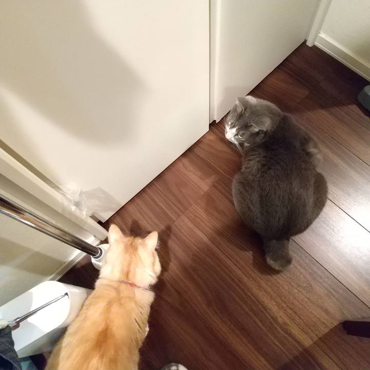 9d0b3854 bd2a 435c a83d 90f1396a0b18 1641421689004