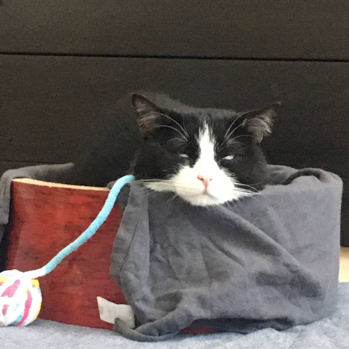 9d0b8ae9 64a5 42b1 aefc f0db197cc49c 1597531767938