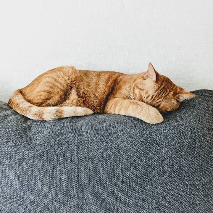 9d0b9a26 cf93 456d a0fc 12c3b3dd435d 1626925199639