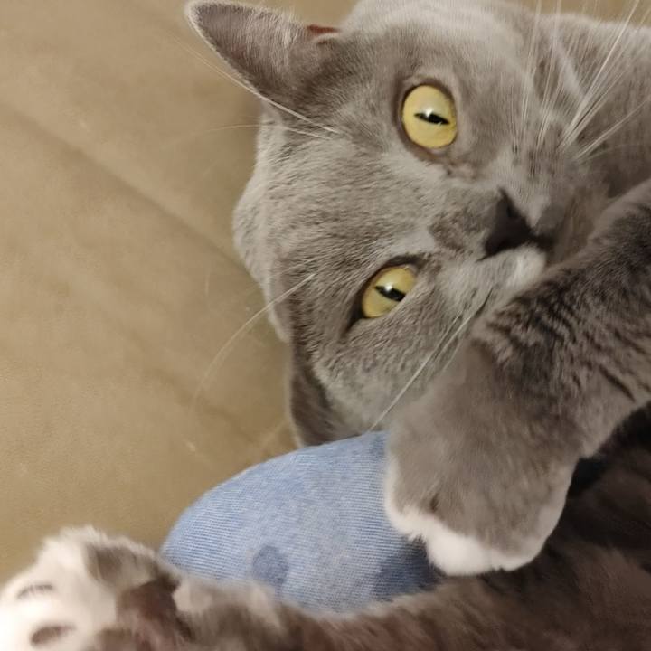 9d0bc6c2 ea4d 4ae4 84ef cb4eb9ca87b7 1612680478979