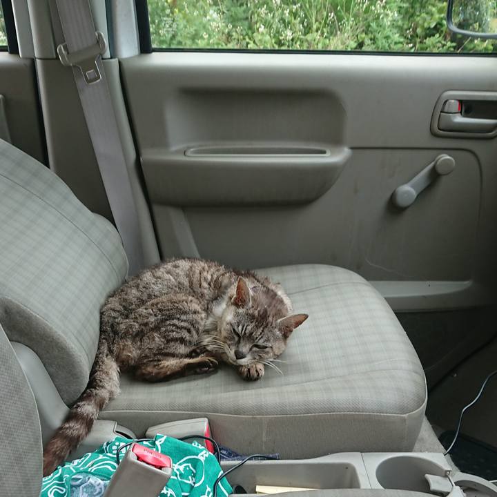 9d0be9c2 0cb7 4f8f 8d1c 1ddea31b70f5 1598398485543