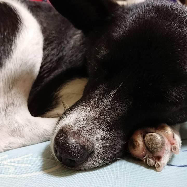 9d0c5aad 0fba 4265 8fa7 76ce85178848 1508513142379