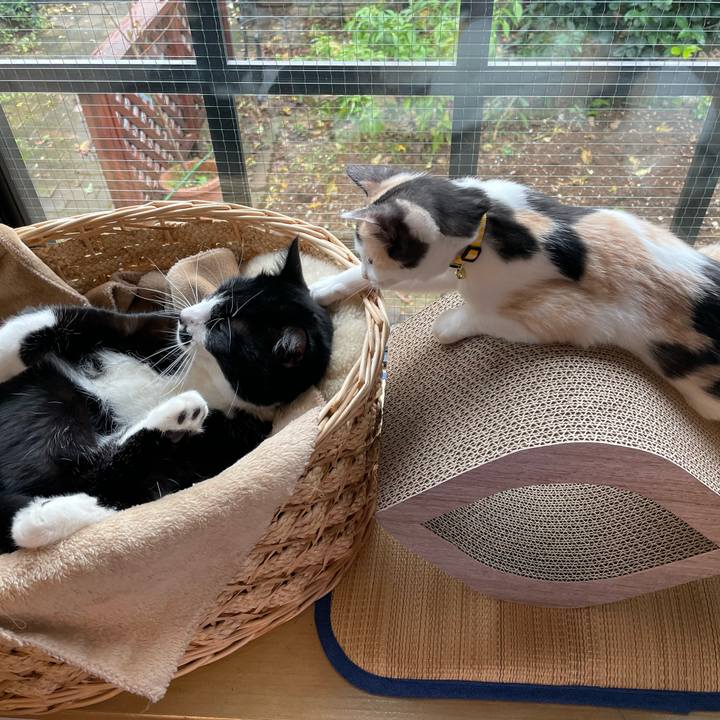 9d0c900f 76a5 47c9 946f d548eb8211e5 1665097605681