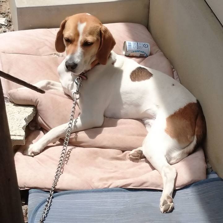 9d0c98c4 5d05 4272 8788 130cf65e7cf5 1588939855195