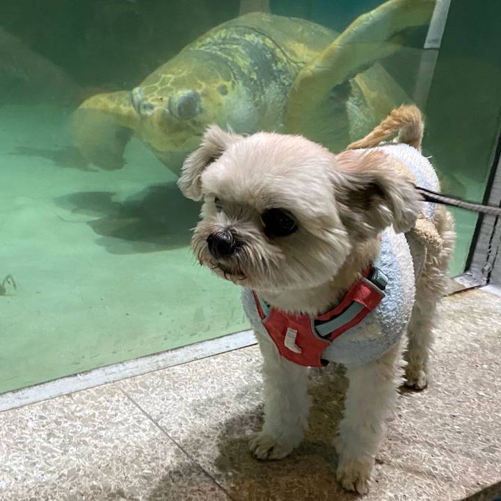 9d0cbc12 17fc 4800 ab8a 9aae2588d15d 1740475431104