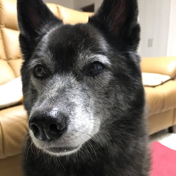 9d0cd84a bcb7 4691 bccc 98080e21c9ad 1603801397568