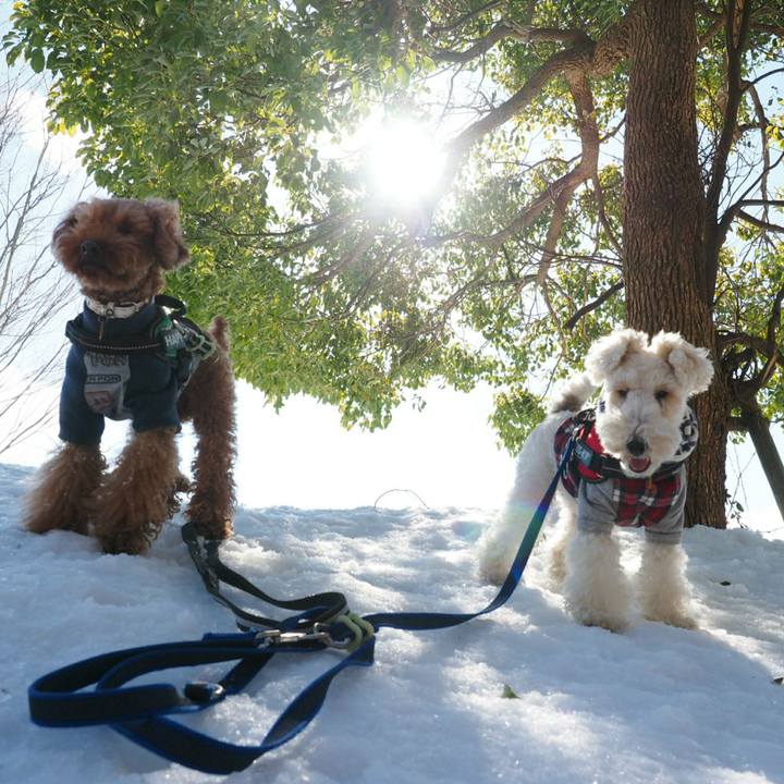 9d0d02d2 af58 4bd1 9df3 04026da70154 1517751028932