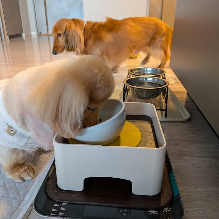 9d0d0d8a 1902 4b8d b336 6c2b6ac4010a 1765928950530