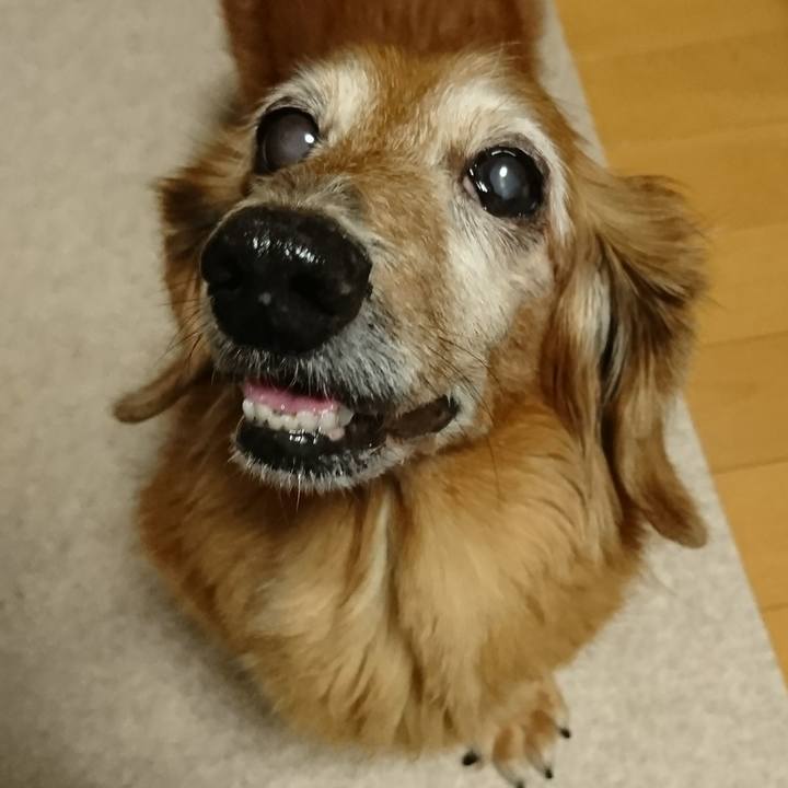 9d0d118b efcd 4aa0 80e2 55322645fb37 1509602862725